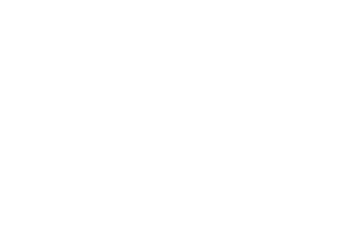Coco & Cici 