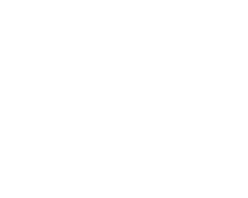 FX 
