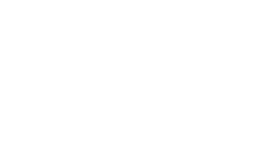 Videoland